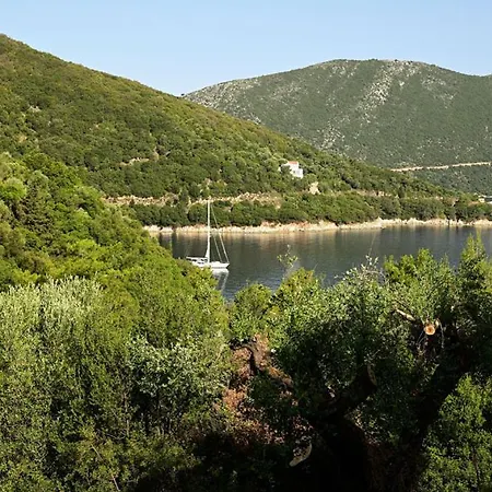 Theodora Κιόνι